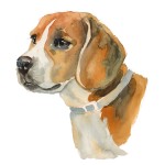 —Pngtree—beagle brush effect_3594046